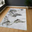 Area Rug-1733555236
