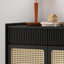 Solid Wood Rattan Shoe Cabinet Storage Locker 20 Pair Shoe Storage Cabinet-98407234