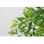 Banian artificiel avec des feuilles de soie réalistes et un tronc naturel, idéal pour la décoration intérieure et extérieure de bureau à domicile