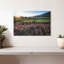 Alvord Napa Valley, vignes et fleurs-107678039