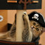 Lit pour chat 18,7 po Pirate Ship-129577302