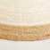 Allysa Jute / Sisal Hand Woven Area Rug