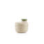 Food Storage Container