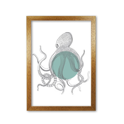 Marine Animals Octopus - Print