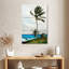 Palmier Gillard Nassau-108589162