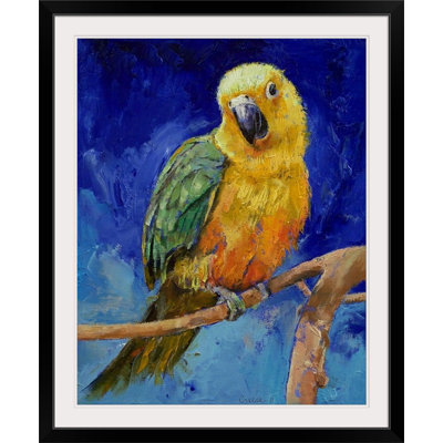 «Wireman Jenday Conure» par Michael Creese, reproduction d'art