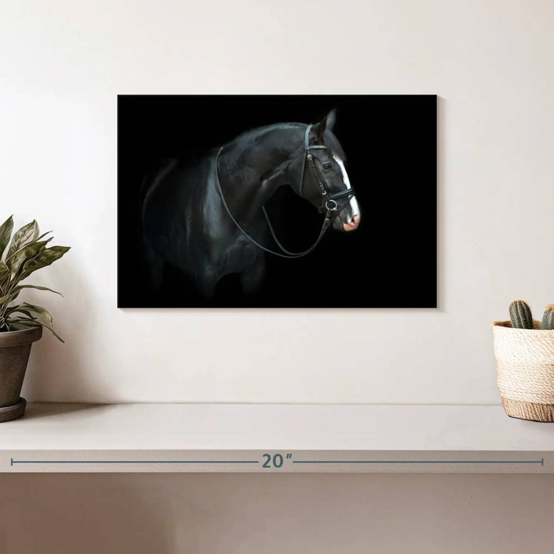 Brampt Thoroughbred Trakehner Horse, 8" H x 12" W
