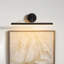 Slender 18-in Black Dimmable LED Wall/Picture Light-1863300648
