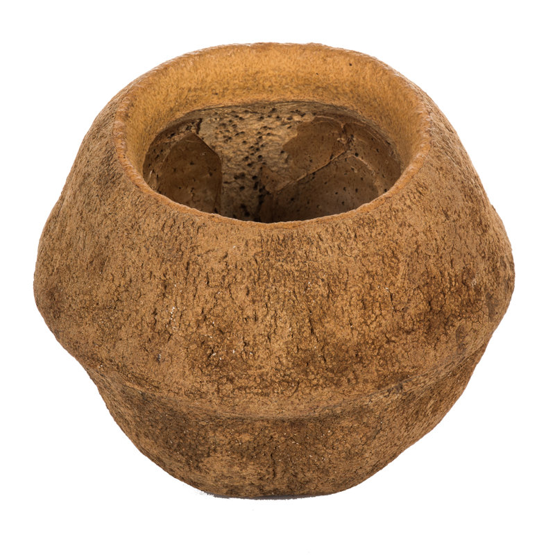 SAPA POD MEDIUM, NATURAL (CP-__), Dried