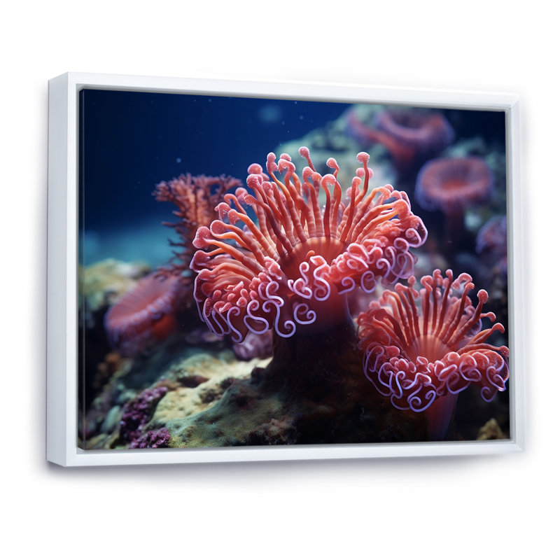 «Colorful Anemone Reef - Beach & Ocean», reproduction d'art sur toile, H 34 po x l 44 po x P 1,5 po, Cadre flottant blanc