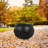 Halloween Decorative Accent