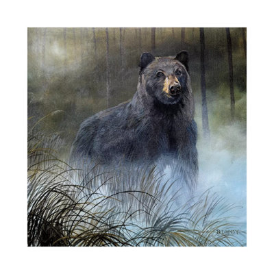 Misty Wild III by B. Lynnsy - Wrapped Canvas Gallery-Wrapped Canvas Giclée