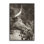  «Longhorn Kissing Baby Giclee Art» par Nathan Larson