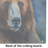 Kodiak Bear Glass Cutting Board Large