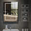 Aydelotte Surface Mount Frameless Mirror Cabinet with LED Lighting & 3 Shelves for Bathroom