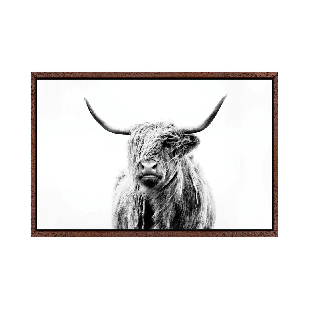 Bairdstown Portrait of a Highland Cow by Dorit Fuhg - Graphic Art Print on Canvas