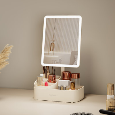 Plastic Rectangle Freestanding Vanity Mirror