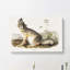 Swift Fox by J.W. Audubon - Wrapped Canvas-55359085