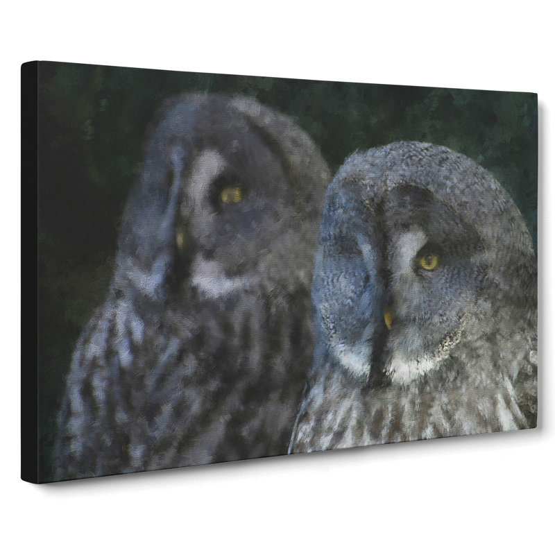 Great Grey Owls - Wrapped Canvas Print, 40cm H x 60cm W x 3cm D