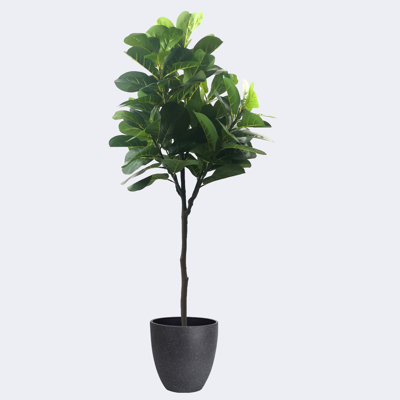 Pots en figuier et résine