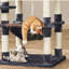 Tour à chat pour chats d'intérieur-1066574691