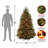 Dunhill Fir Tree with Multicolor Lights-1926944780