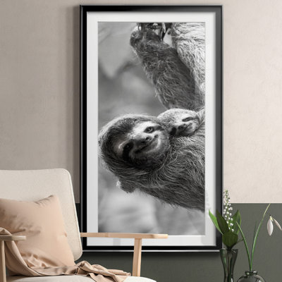 Sloth Swing - Photographie avec cadre photo