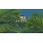 GUDEE FRASA Bamboo Basket