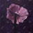 petals - 32"x32" art on canvas