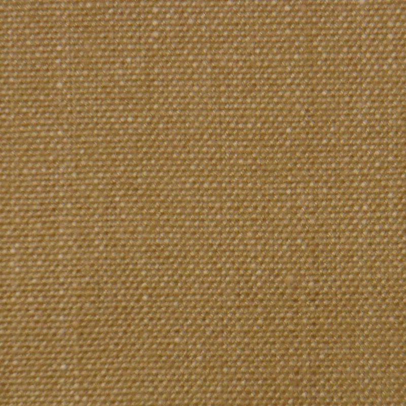 Tissu Cassone, Chameau