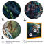 «Jungle Leopard In The Wild», reproduction sur toile-1282815701-1282815703