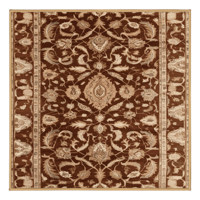 Machine Washable Persian Brown Area Rug