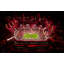 Stade Raymond James-107113627