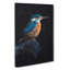Kingfisher Bird - Wrapped Canvas Painting-56644378