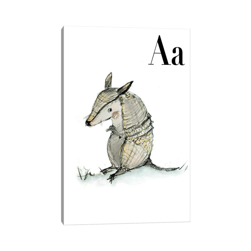 Armadillo 1 Piece Wall Art on Canvas, 30.48 cm H x 45.72 cm W, Wrapped Canvas