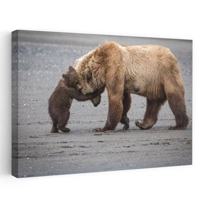 Art contemporain, art contemporain ludique, ours, nature, faune
