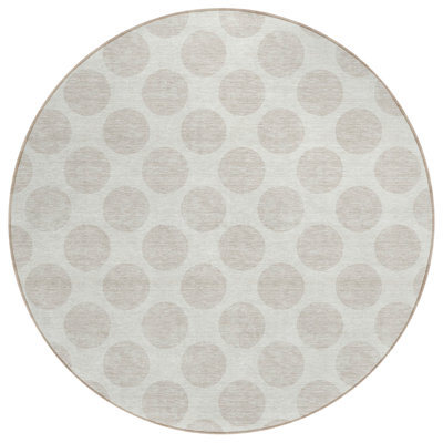  Colturo Area Rug
