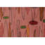 One-of-a-Kind 5'x8'4” Hand Knotted Area Rug