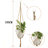 Clady Plant Hanger