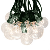 Blairsden Outdoor 100 - Bulb 1200'' Plug-in Globe String Light