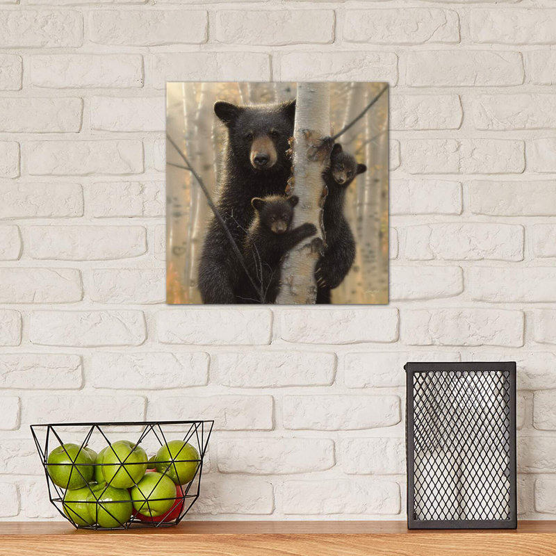 «Mama Black Bear» par Collin Bogle Print, Toile tendue, H 12 po x l 12 po x P 0,75 po
