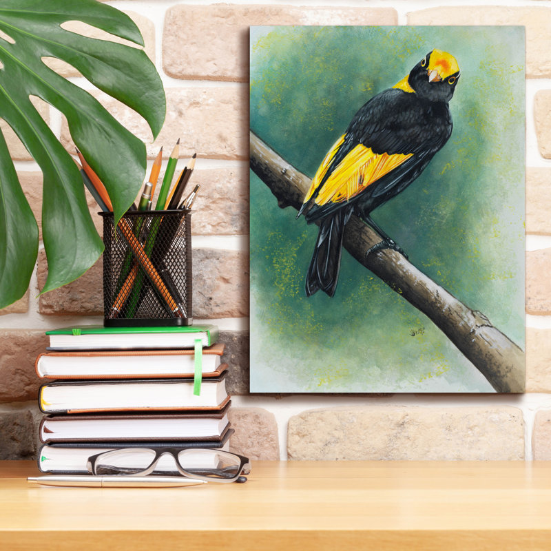 'Regent' by Barbara Keith, Canvas Wall Art, 16" H x 12" W x 0.75" D
