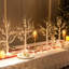 Holiday Lighting