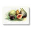 Vintage Illustration Of Figs - Wrapped Canvas Painting-55303433