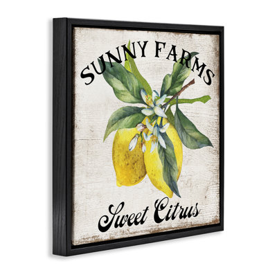  Sunny Farms Sweet Lemon  Framed Floater Canvas Wall Art by Creatif Belle