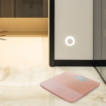 Wayfair  Pink Scales You'll Love in 2023