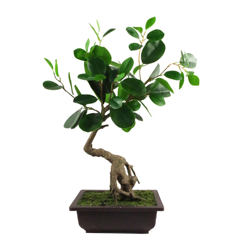 Anlin 50cm Faux Bonsai Tree in Pot