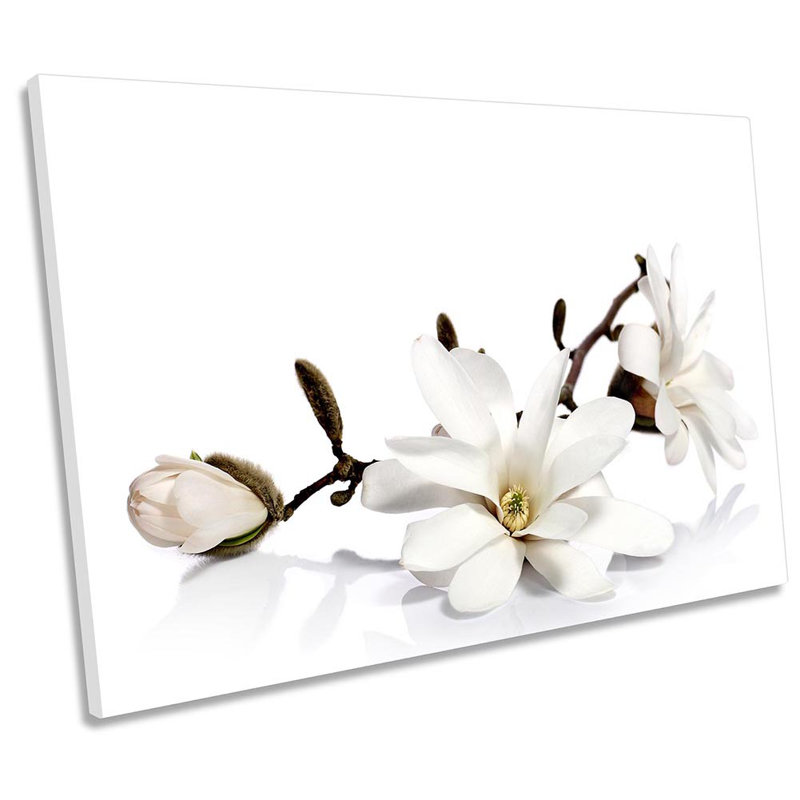 White Magnolia Flowers Floral - Wrapped Canvas Print, 30.5cm H x 45.7cm W x 2cm D