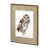 Owl II