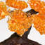 Small Genuine Citrine Clustered Gemstone Tree on Amethyst Matrix (The Money Tree)